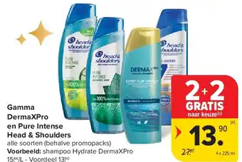 Carrefour Gamma DermaXPro en Pure Intense Head & Shoulders aanbieding