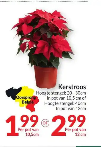 Intermarché Kerstroos aanbieding