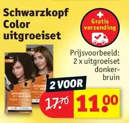 Kruidvat Schwarzkopf Color uitgroeiset aanbieding