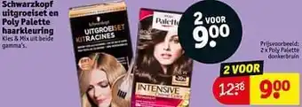 Kruidvat Schwarzkopf uitgroeiset en poly palette haarkleuring poly palette donkerbruin aanbieding