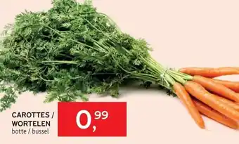 Carottes/Wortelen
