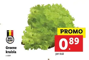 Lidl Groene krulsla aanbieding