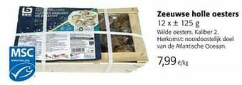 Colruyt Zeeuwse holle oesters aanbieding