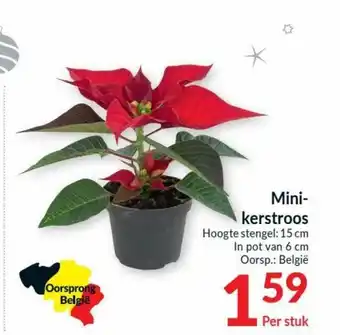 Intermarché Mini- kerstroos 15 cm aanbieding