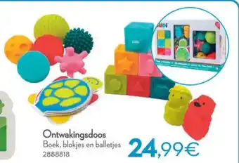 Cora Ontwakingsdoos aanbieding