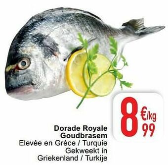 Dorade royale goudbrasem