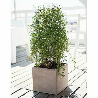Brico Deroma terracotta pot ’Cubo Box’ grigio 35 cm x 30 cm aanbieding