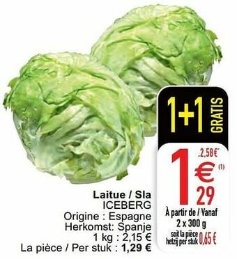 Laitue - sla iceberg