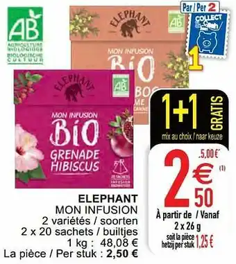 Cora Elephant mon infusion aanbieding