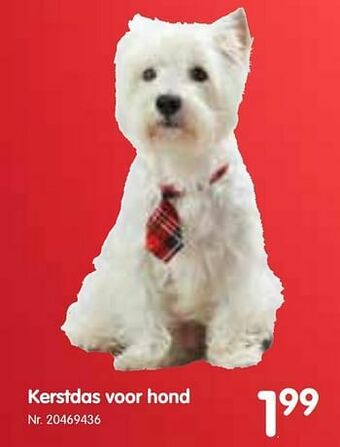 Fun Kerstdas voor hond aanbieding