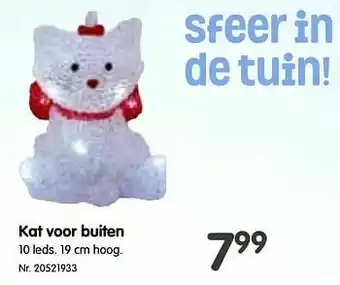 Kat voor buiten