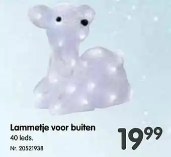 Fun Lammetje voor buiten aanbieding