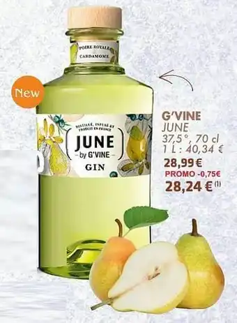 Cora G’vine june aanbieding