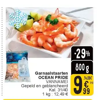 Cora Garnaalstaarten OCEAN PRIDE aanbieding