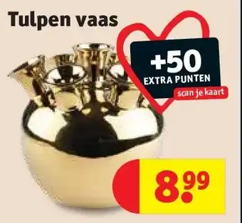 Kruidvat Tulpen vaas aanbieding