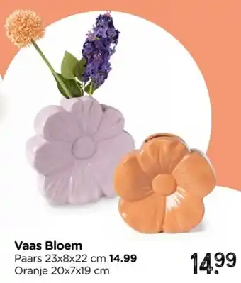 Xenos Vaas Bloem aanbieding