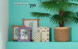 Xenos Fotolijst Palm aanbieding