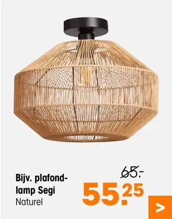 Kwantum Plafond- lamp segi 552 aanbieding