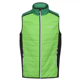 Decathlon Heren Halton Baffled VII Colour Block Gewatteerd Gilet (Jasmijngroen/Veldgroen) aanbieding