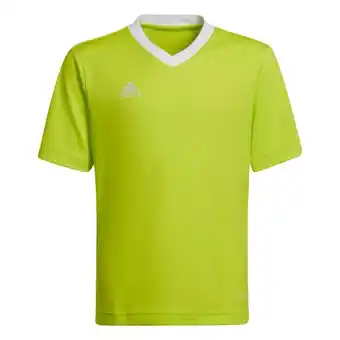 Decathlon Kindertrui adidas Entrada 22 aanbieding