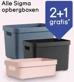 Leen Bakker Alle Sigma opbergboxen aanbieding