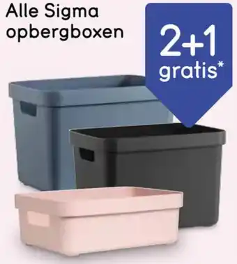 Leen Bakker Alle Sigma opbergboxen aanbieding