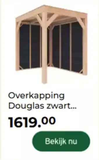 GAMMA Overkapping Douglas aanbieding