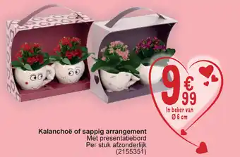 Cora Kalanchoë of sappig arrangement aanbieding