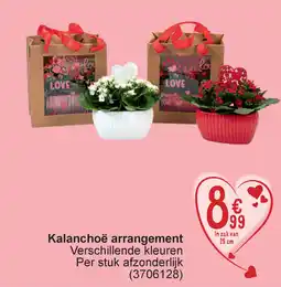 Cora Kalanchoë arrangement aanbieding