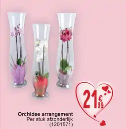 Cora Orchidee arrangement aanbieding