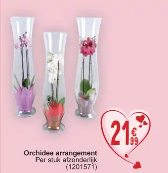 Cora Orchidee arrangement aanbieding