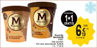 Cora Roomijs Magnum aanbieding