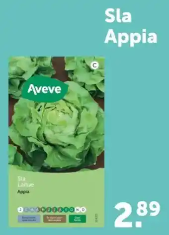 AVEVE Sla Appia aanbieding