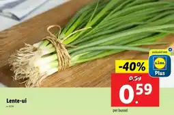 Lidl Lente-ui aanbieding