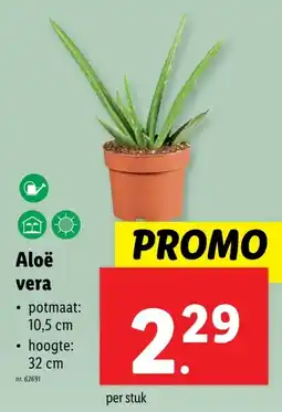 Lidl Aloë vera aanbieding