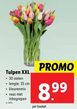 Lidl Tulpen XXL aanbieding