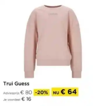 Molecule Trui Guess aanbieding