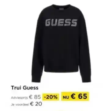 Molecule Trui Guess aanbieding