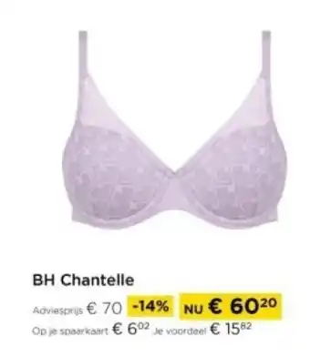 Molecule BH Chantelle aanbieding