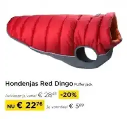 Molecule Hondenjas Red Dingo aanbieding