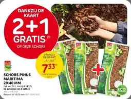 Brico Schors Pinus Maritima aanbieding