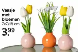 Xenos Vaasje met bloemen aanbieding