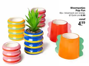 Xenos Bloempotjes Pop Fun aanbieding