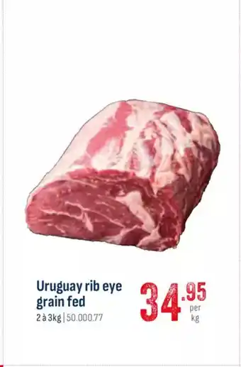 Horeca totaal Uruguay rib eye grain fed aanbieding