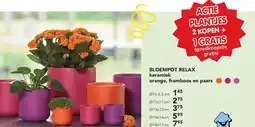 Happyland BLOEMPOT RELAX aanbieding