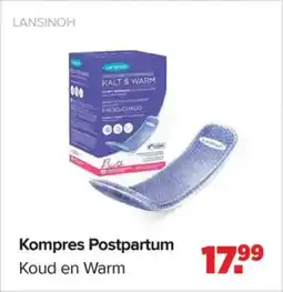 Baby-Dump Lansinoh Kompres Postpartum aanbieding