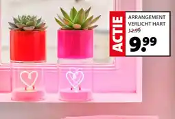 Intratuin Arrangement verlicht hart aanbieding