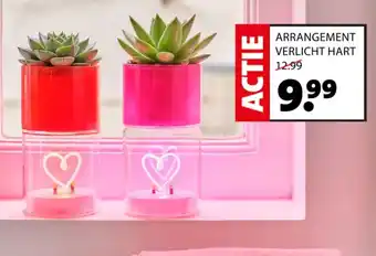 Intratuin Arrangement verlicht hart aanbieding