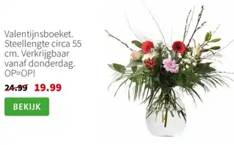 Intratuin Valentijnsboeket. aanbieding