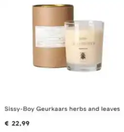 fonQ Sissy Boy Geurkaars herbsSissy-Boy Geurkaars herbs and leaves and leaves aanbieding